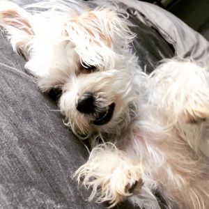 Meet your Posher, Cady